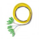 Qoltec 54362 InfiniBand/fibre optic cable 2 m 12x SC Multicolour Qoltec 54362 InfiniBand/fibre optic cable 2 m 12x SC Multicolour