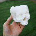 Polymaker PolyLite PLA - 3kg - 1,75mm - Valkoinen
