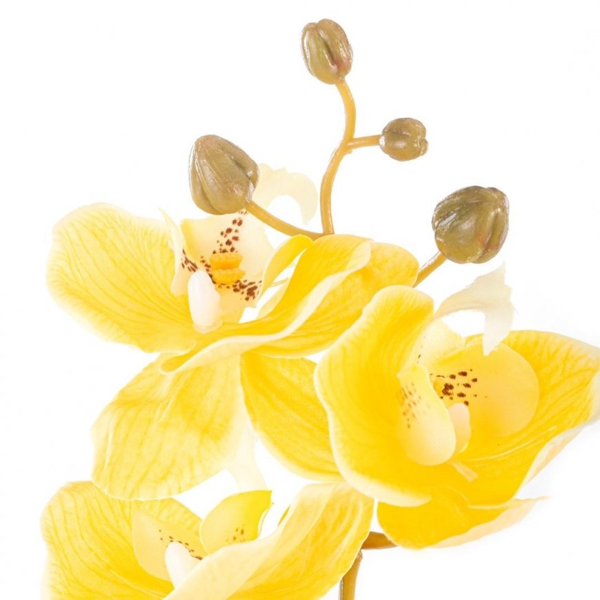 AmeliaHome Artificial flower AH FALENI HONEY 10 pcs. – 3