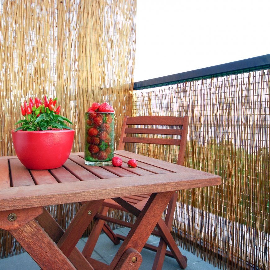 Bambuaita IN GARDEN – 2