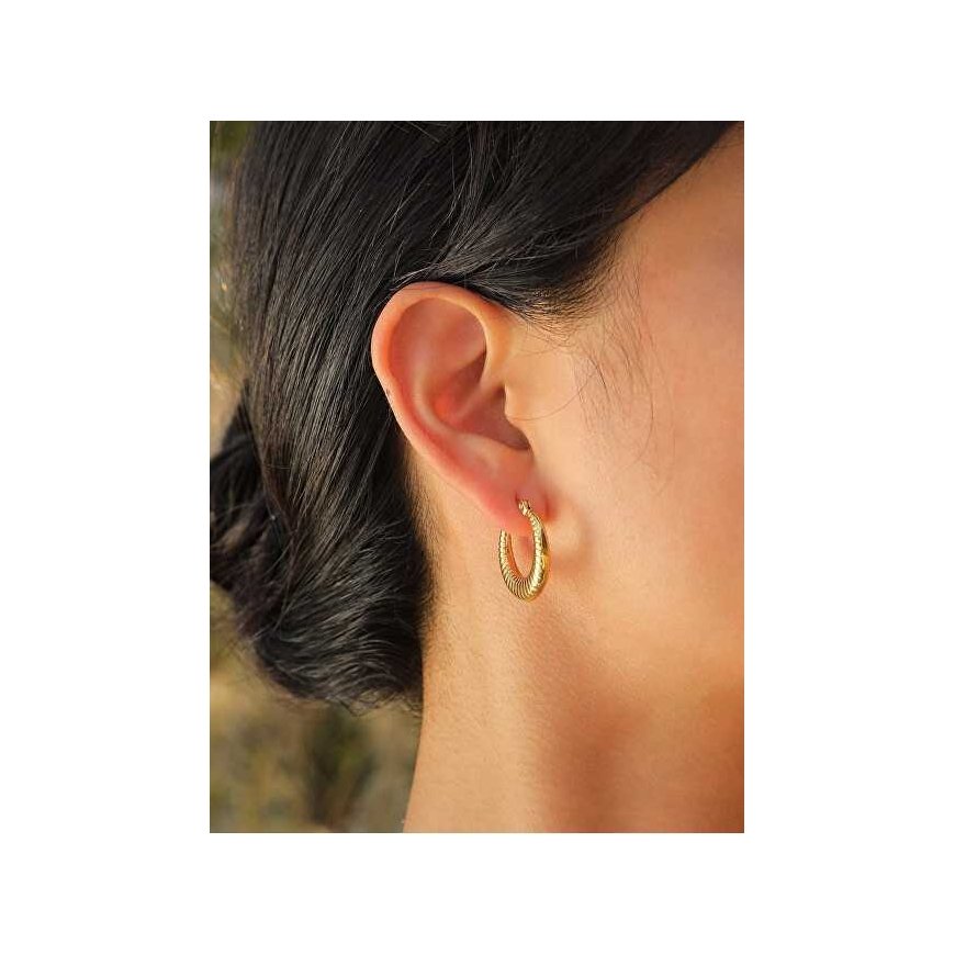 Troli Original gold-plated steel earrings – 3