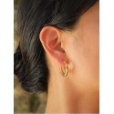 Troli Original gold-plated steel earrings Troli Original gold-plated steel earrings