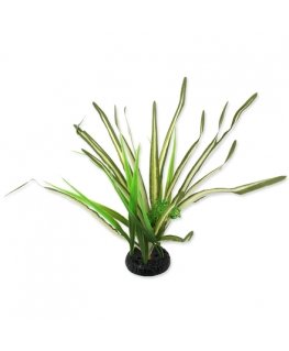 Terrarium decor : Repti Planet Spartina grass, 30 cm