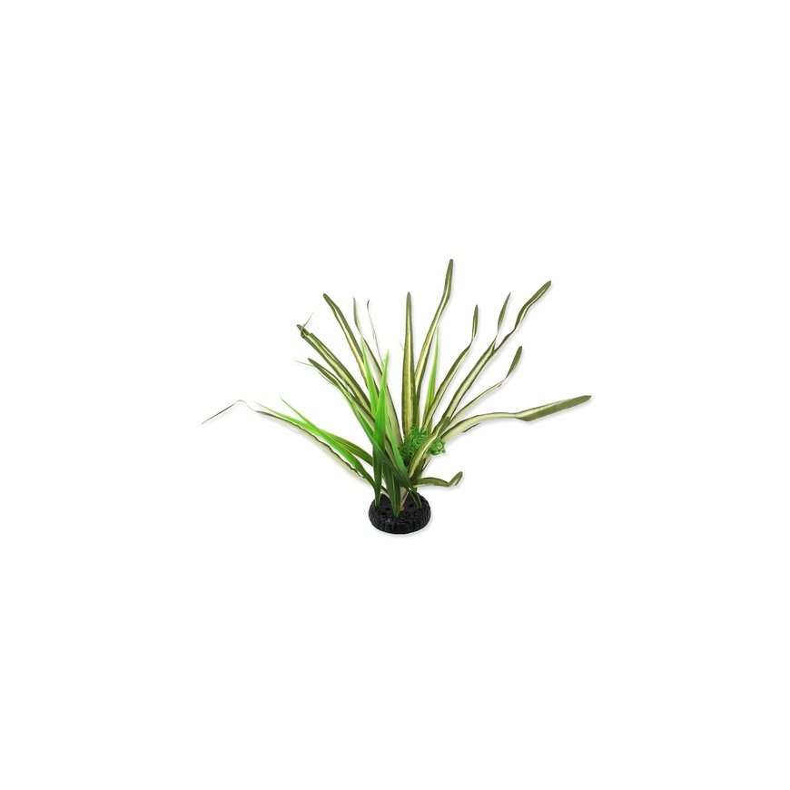 Terrarium decor : Repti Planet Spartina grass, 30 cm