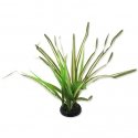 Terrarium decor : Repti Planet Spartina grass, 30 cm Terrarium decor : Repti Planet Spartina grass, 30 cm