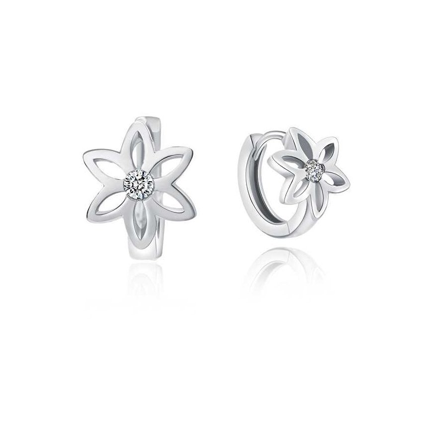 Moiss Delicate hopeakorvakorut kukilla E0000140