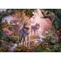 Ravensburger 12000465 Pusle 1000 tk Muu