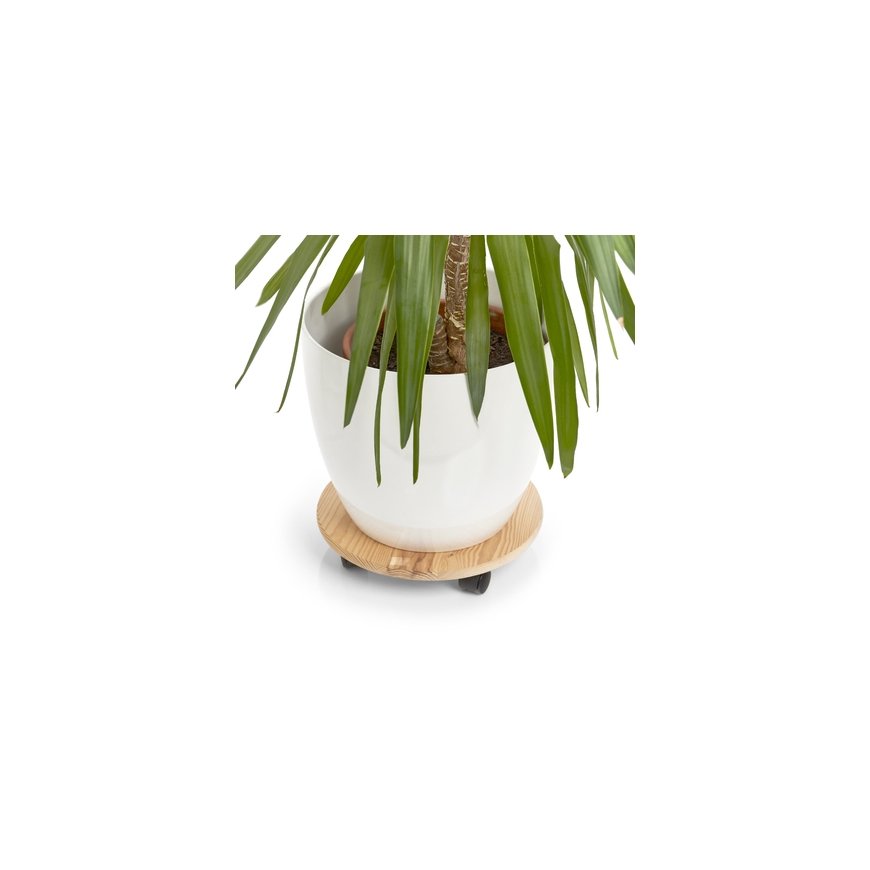Zeller Present 13555 kasviteline Kukkajalusta – 2