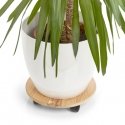 Zeller Present 13555 plant stand