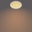 Philips Functional 8719514326866 люстра/потолочный светильник Незаменяемая лампочка(и) LED Philips Functional 8719514326866 люстра/потолочный светильник Незаменяемая лампочка(и) LED