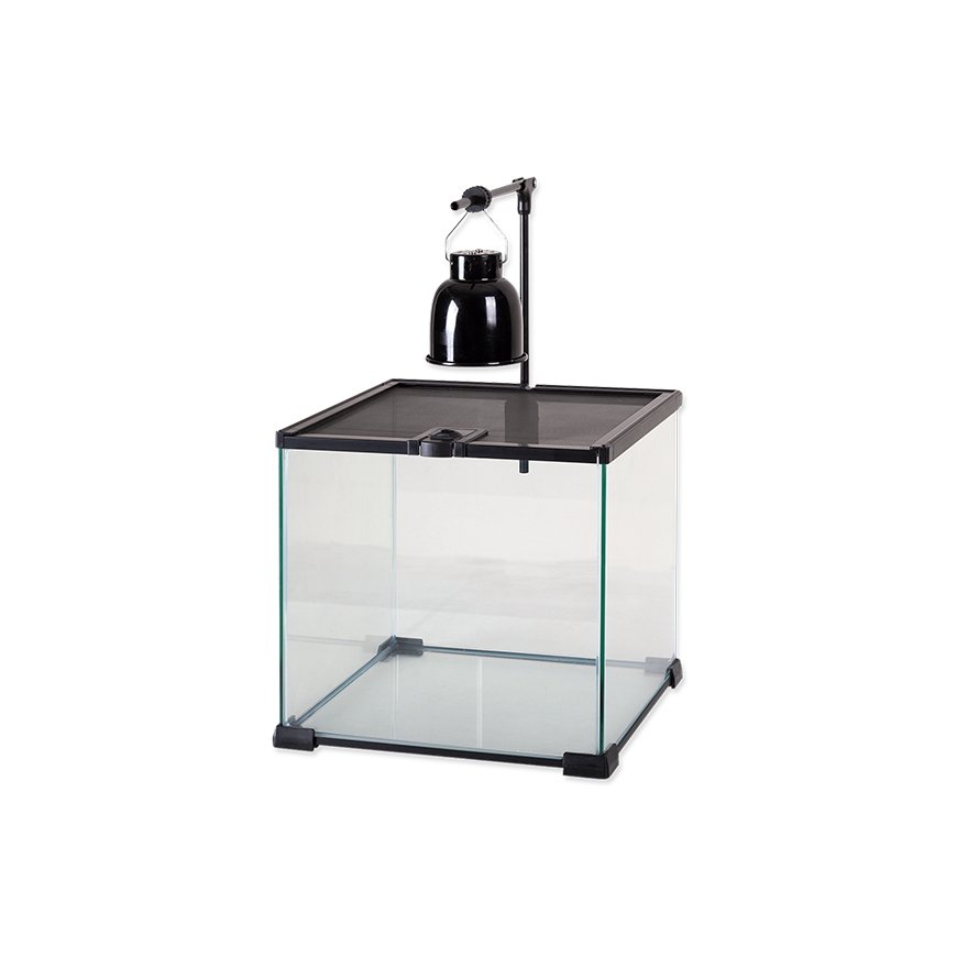 Repti Planet 007-43302 roplių terariumo lempa 40 W 1 vnt – 4