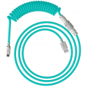 Hewlett Packard (HP) HP HyperX USB-C suvyniotas kabelis Light Žalias-Baltas