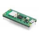 Raspberry Pi Pico WH - RP2040 ARM Cortex M0+ CYW43439 - WiFi - with pins Raspberry Pi Pico WH - RP2040 ARM Cortex M0+ CYW43439 - WiFi - with pins