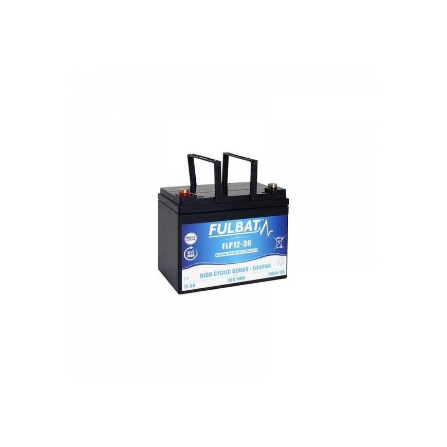 VRLA Battery 460.8Wh/ 36 Ah 12.8V