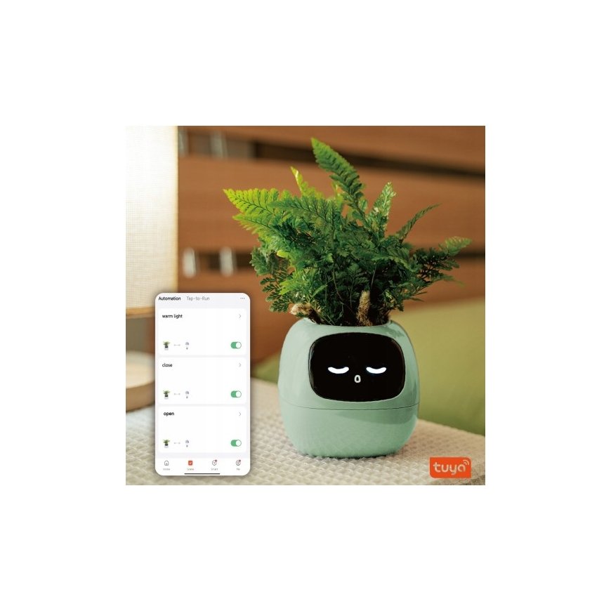 PlantsIO IVY Zielona