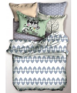 DecoKing Bedding set BASIC NARNIA 155X220+80X80*1