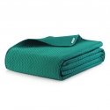 AmeliaHome päiväpeite ALPINEGREEN 170x210 AmeliaHome päiväpeite ALPINEGREEN 170x210