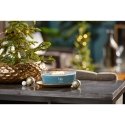 WoodWick Evergreen Cashmere vaska svece Elipses veida Zaļš 1 pcs WoodWick Evergreen Cashmere vaska svece Elipses veida Zaļš 1 pcs