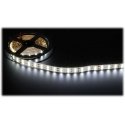 TST LED JUOSTELĖ LED120A-12V/28.8W-CW/5M 5 m – 6000 K TST LED JUOSTELĖ LED120A-12V/28.8W-CW/5M 5 m – 6000 K