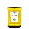 Acqua di Parma Oh l'Amore wax candle Acqua di Parma Oh l'Amore wax candle