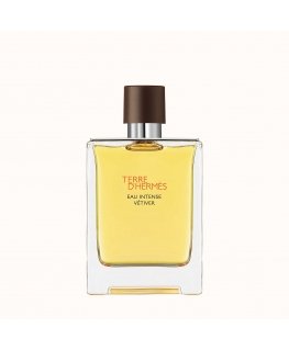 Hermes Terre d'Hermès Eau Intense Vetiver 100 ml Люди