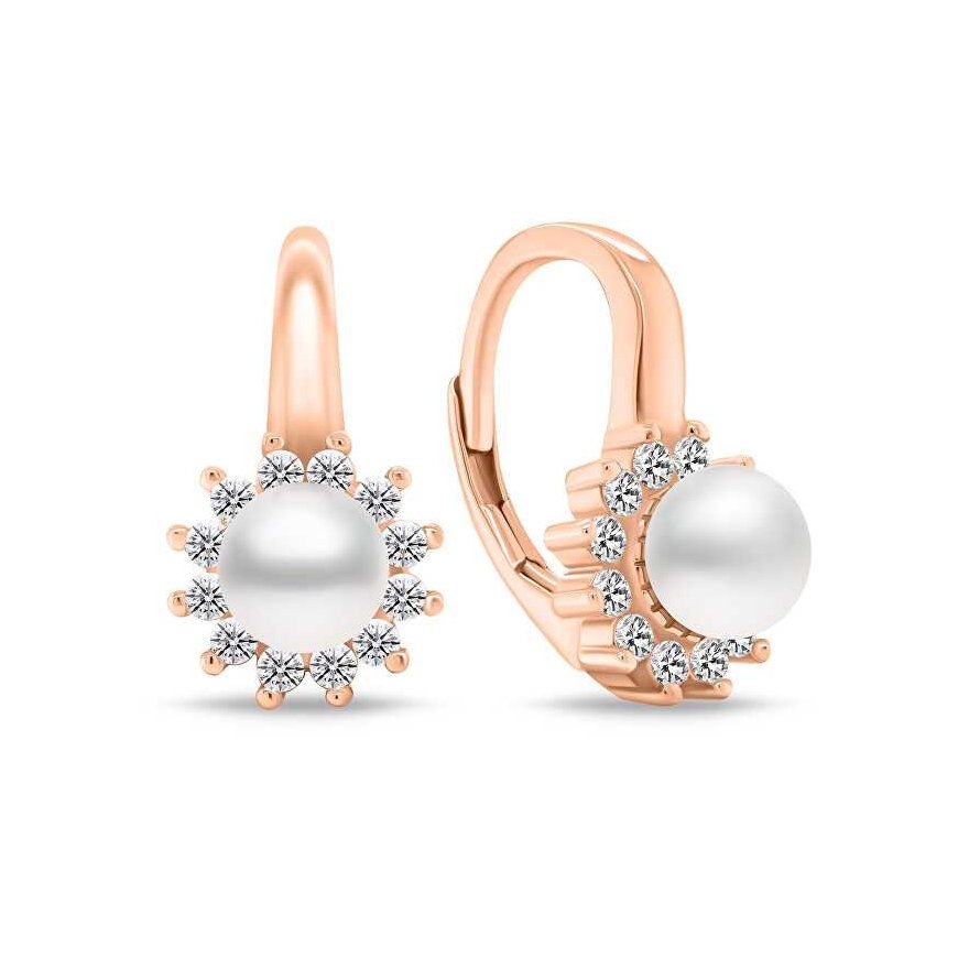 Brilio Silver Brilio Silver Elegant bronze earrings with zircons EA788R