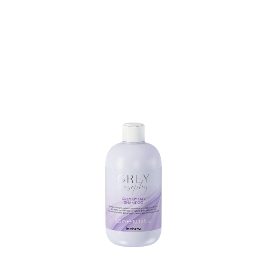 Inebrya Grey By Day Shampoo – 2