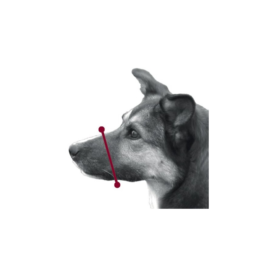TRIXIE 19282 dog/cat muzzle – 2