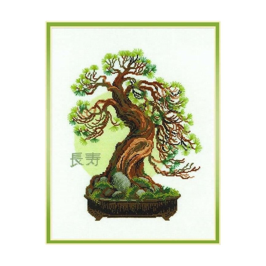 Uab Riolis Bonsai mänty pitkäikäisyystoive 1037