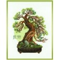 Uab Riolis Bonsai mänty pitkäikäisyystoive 1037 Uab Riolis Bonsai mänty pitkäikäisyystoive 1037