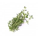 Véritable 3760262511054 growing kit/refill Thymus Véritable 3760262511054 growing kit/refill Thymus