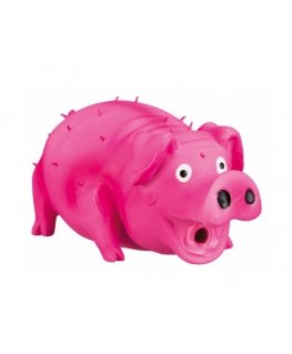 TRIXIE Bristle Pig