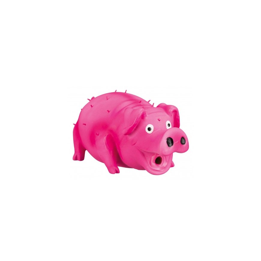 TRIXIE Bristle Pig