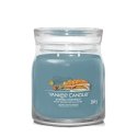 Yankee Candle 1743377E vahakynttilä Sylinteri Kardemumma, Agarapuu, Vanilja Sininen 1 kpl Yankee Candle 1743377E vahakynttilä Sylinteri Kardemumma, Agarapuu, Vanilja Sininen 1 kpl
