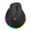 Connect IT CMO-2620-RH hiiri Universaali Oikeakätinen RF Wireless + Bluetooth Optinen 2400 DPI