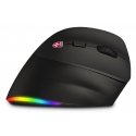 Connect IT CMO-2620-RH mouse Universal Right-hand RF Wireless + Bluetooth Optical 2400 DPI Connect IT CMO-2620-RH mouse Universal Right-hand RF Wireless + Bluetooth Optical 2400 DPI