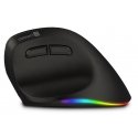 Connect IT CMO-2620-RH hiiri Universaali Oikeakätinen RF Wireless + Bluetooth Optinen 2400 DPI