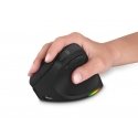 Connect IT CMO-2620-RH hiir Universaalne Parempoolne RF juhtmeta ühendus + Bluetooth Optiline 2400 D Connect IT CMO-2620-RH hiir Universaalne Parempoolne RF juhtmeta ühendus + Bluetooth Optiline 2400 D