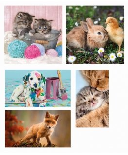 Clementoni Supercolor 20283 puzzle Jigsaw puzzle 18 pc(s) Animals