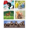 Clementoni Supercolor 20283 pusle 18 tk Animals Clementoni Supercolor 20283 pusle 18 tk Animals