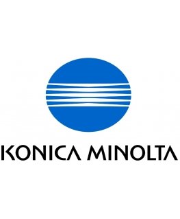 Konica Minolta 4518601 toner cartridge 1 pc(s) Original Black