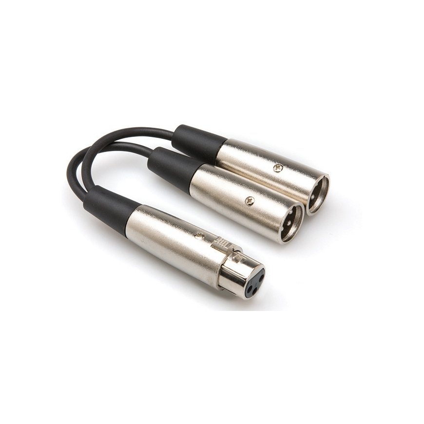 Hosa Technology Hosa Technology XLR/2x XLR