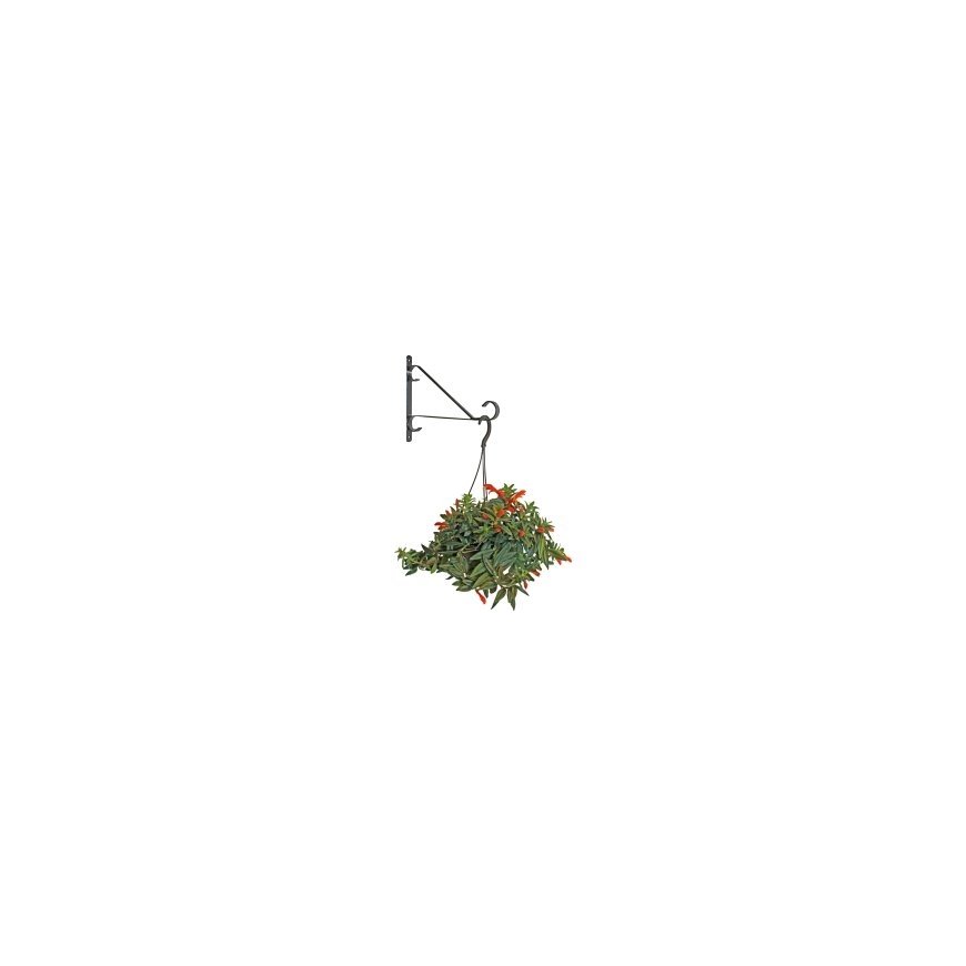 Flower pot holder for wall, metal 30.5cm – 2