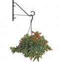 Flower pot holder for wall, metal 30.5cm Flower pot holder for wall, metal 30.5cm