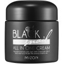 Multifunctional face cream Mizon Black Snail All in One Creamy with black snail extract, 75 ml