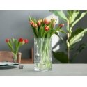 Mondex Vaza SQUARE 10X10CM H-25CM (05-063/250) Mondex Vaza SQUARE 10X10CM H-25CM (05-063/250)