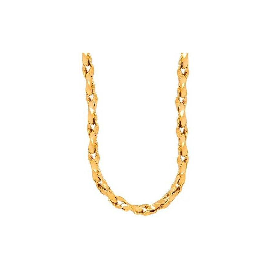 Troli Exclusive women's necklace made of steel VAAXE511G