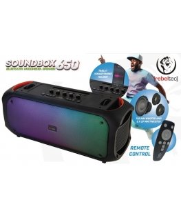 Bluetooth Speaker FM/USB SoundVox 650