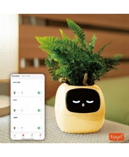 PlantsIO IVY Żółta