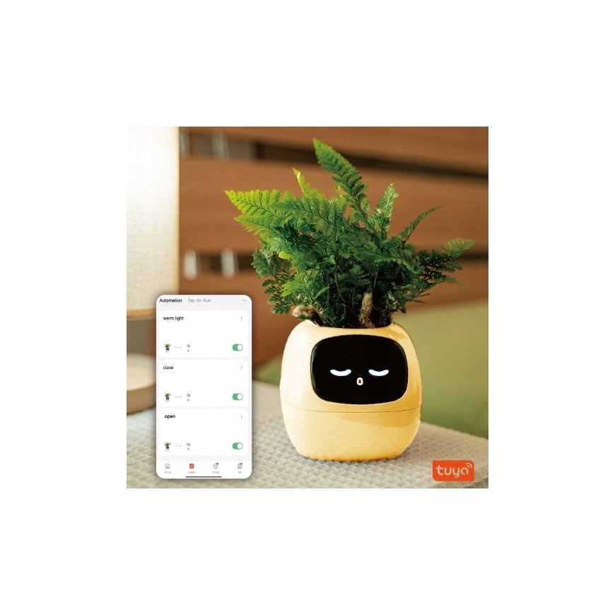 PlantsIO IVY Żółta